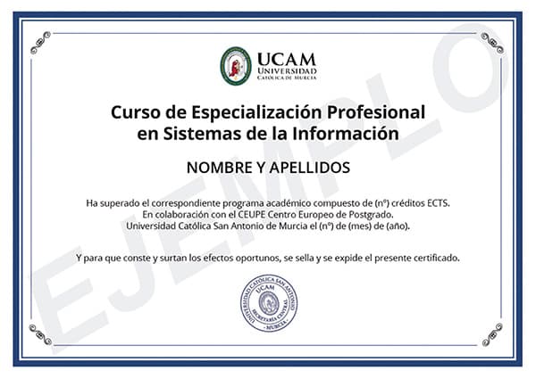 Diploma de Curso de Sistemas de Información Online