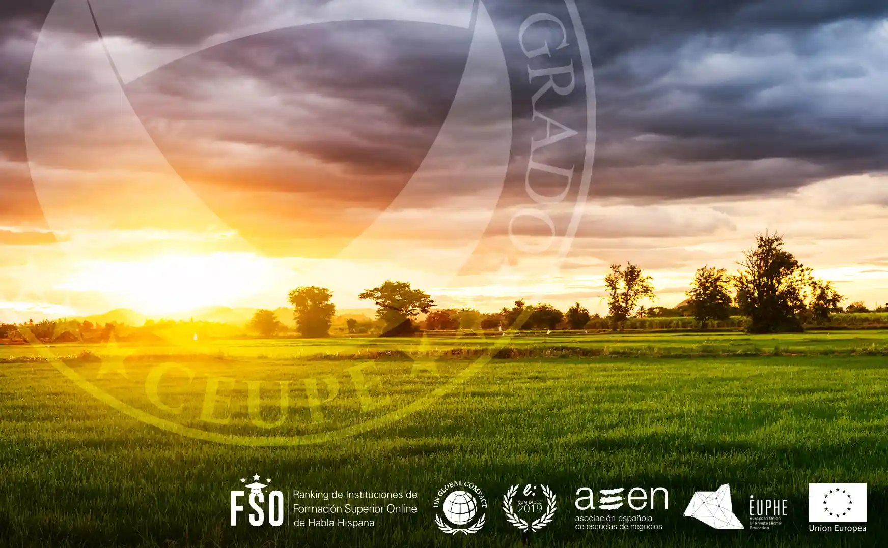 Curso Online de Gestión, Calidad y Evaluación Ambiental Curso Online de Gestión, Calidad y Evaluación Ambiental